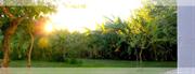 Outdoors Gerakari
