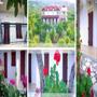 Nature Studio